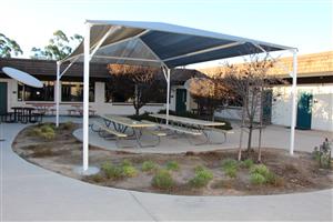 Shade over picnic tables 