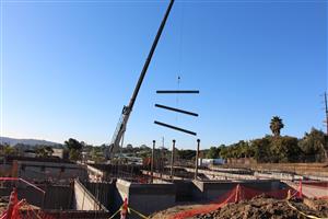 Crane with Steal 