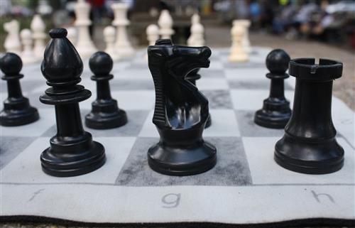 Chess pieces on a chess board 