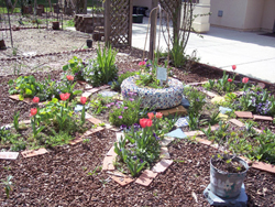 Garden Mosaic with succulents Garden Mosaic with succulents