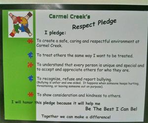 Respect Pledge 
