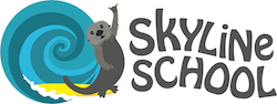 Skyline Sea Otter on surfboard 