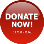 Red Donate Now button