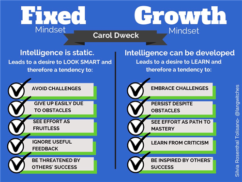 Picture of comparisons of fixed and growth mindsets.
