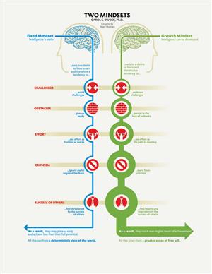 Chart showing fixed mindsets in the color blue & growth mindsets in the color green
