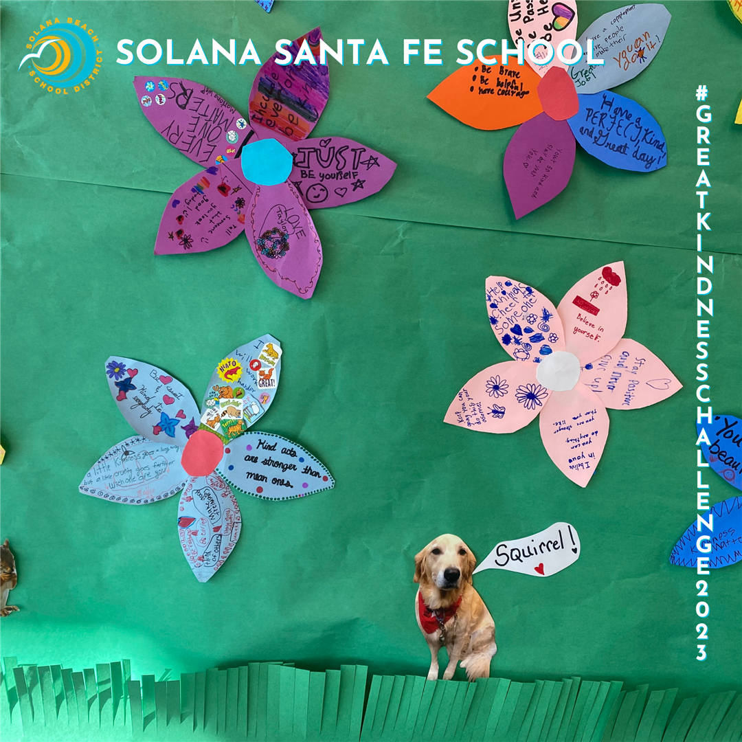 Solana Santa Fe School Kindness Wall
